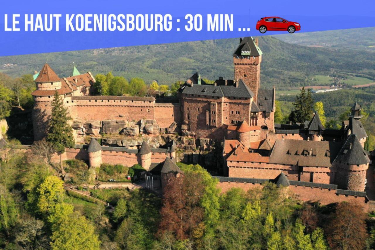 Le Red St Leon : Lit Queen Size * Wifi * Ideal Couple Colmar Eksteriør billede